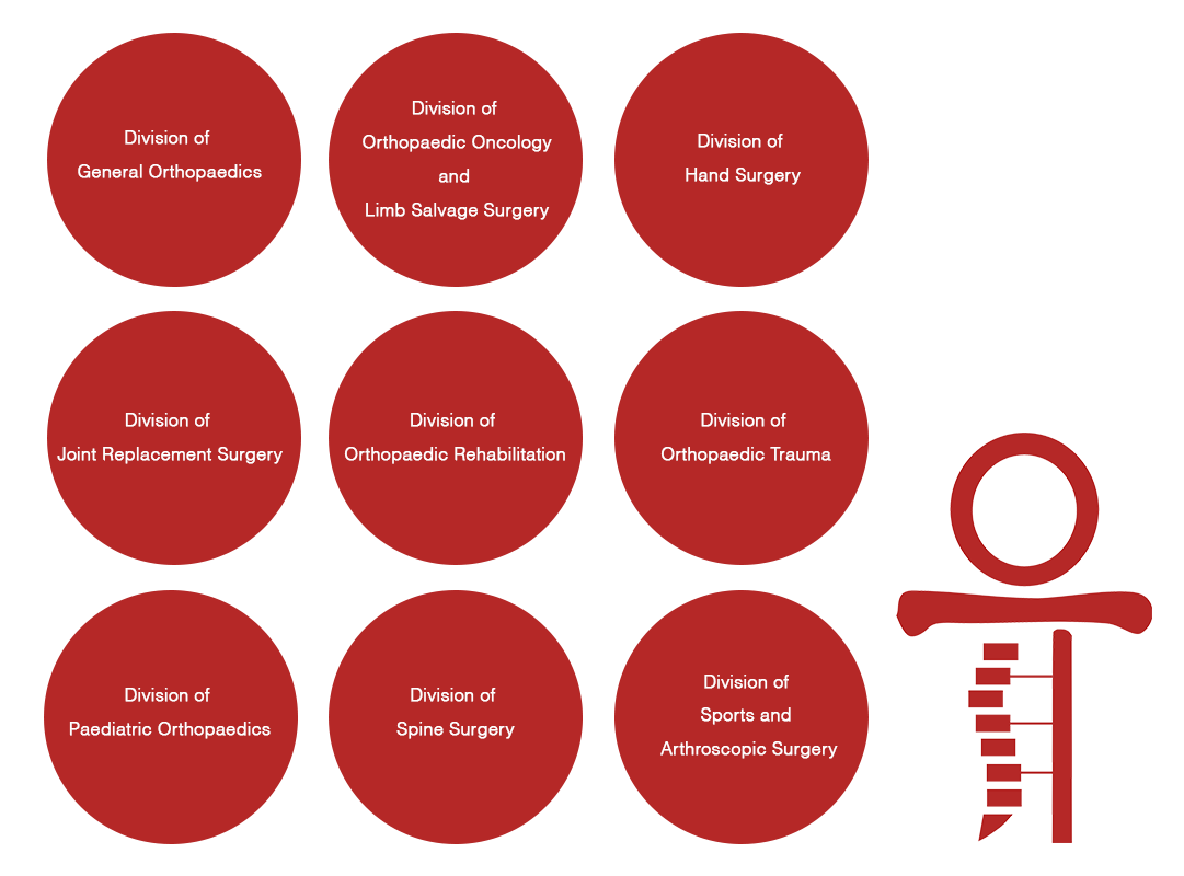 division structure