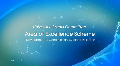 Areas of Excellence Scheme